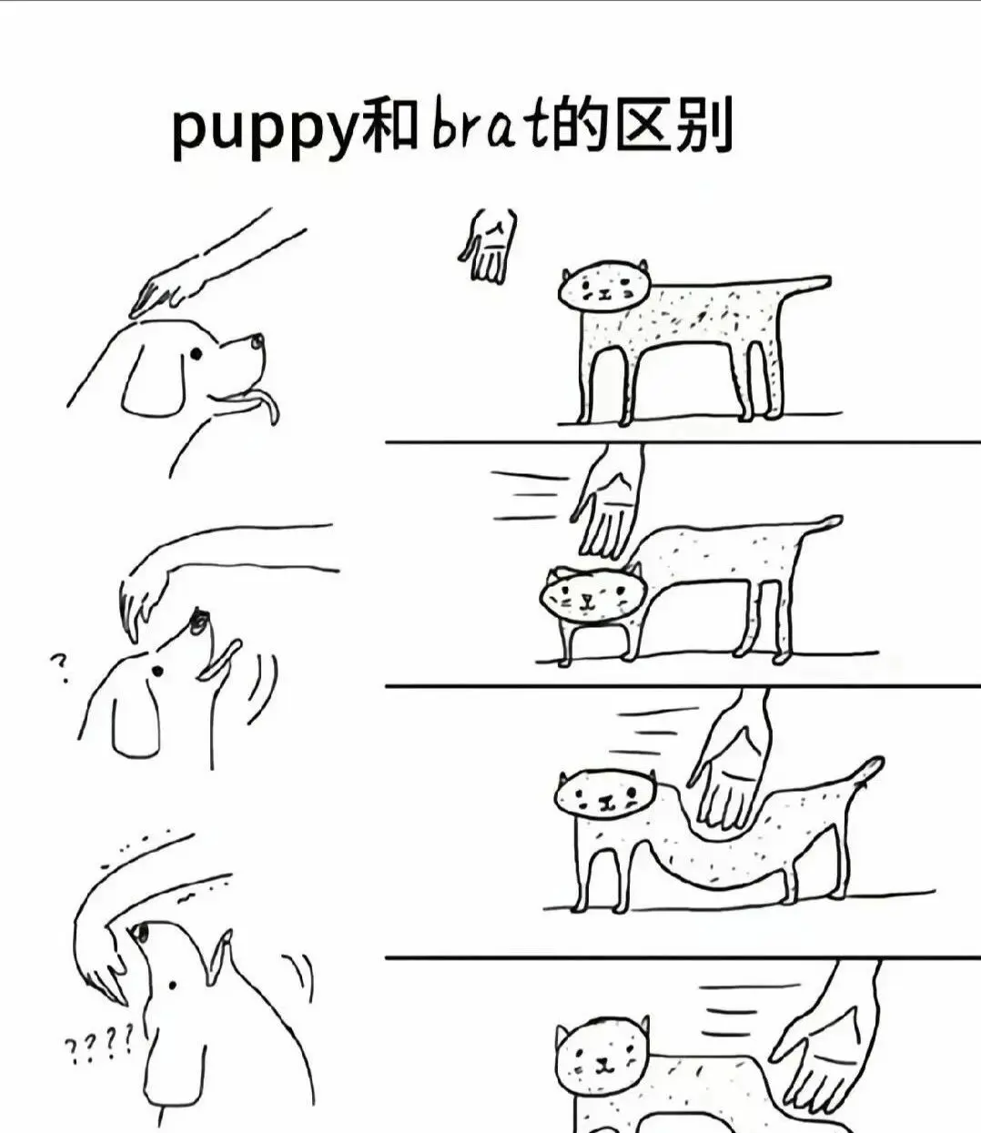 西檬之家Dirty Talk在字母圈中的角色与技巧是什么? 一