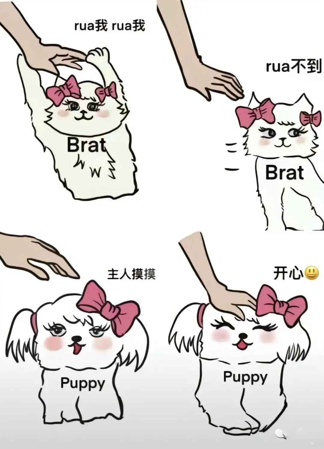 西檬之家sub是什么?字母圈新手必读详解 一