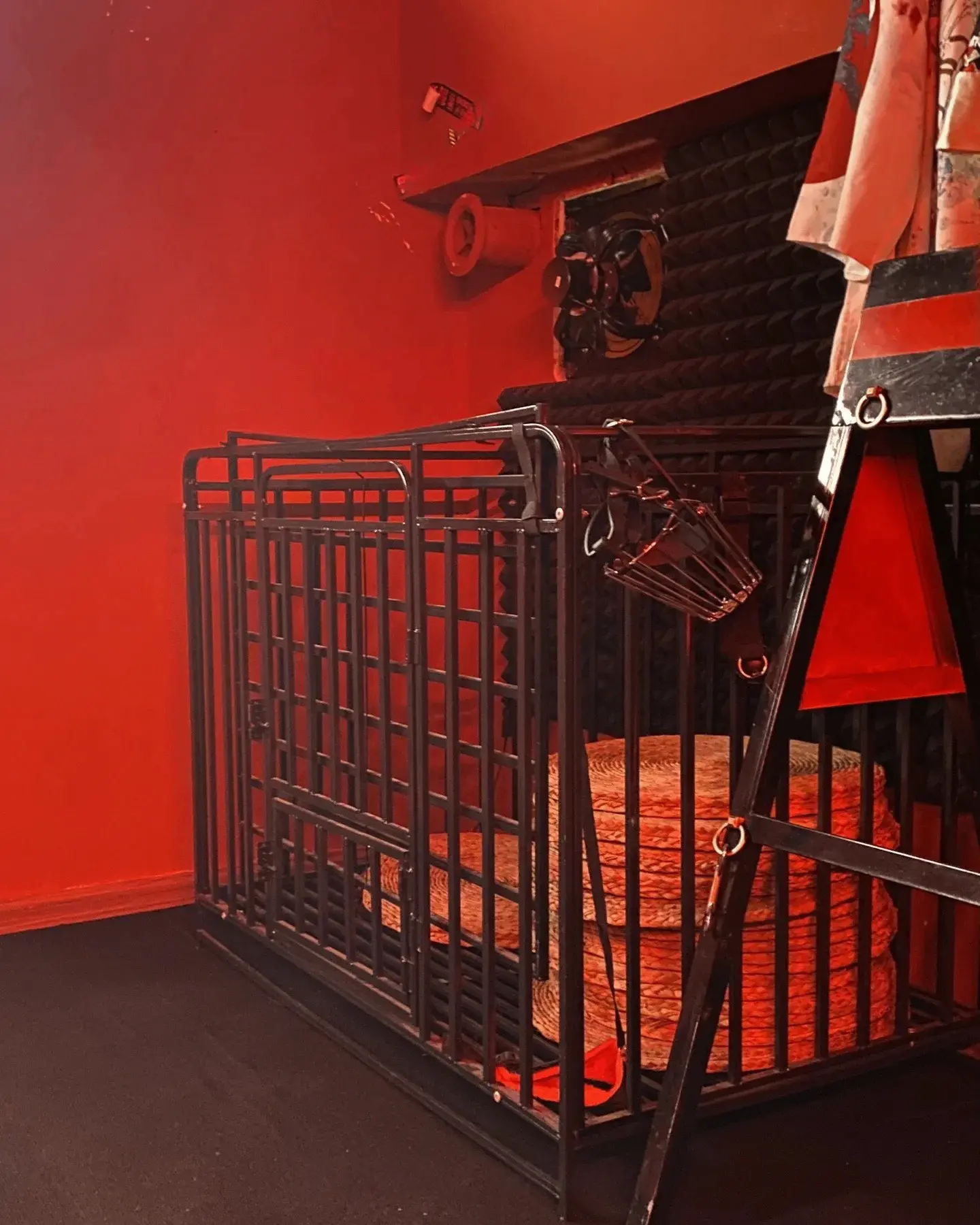 西檬之家k8猫系新趋势解析及其在字母圈中的影响 一