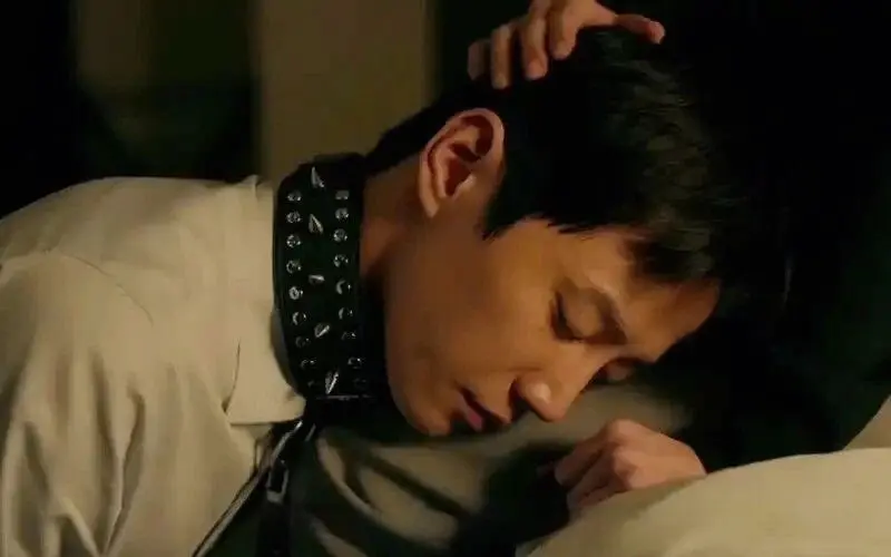 西檬之家k8是什么?深入了解这一字母圈新概念 一