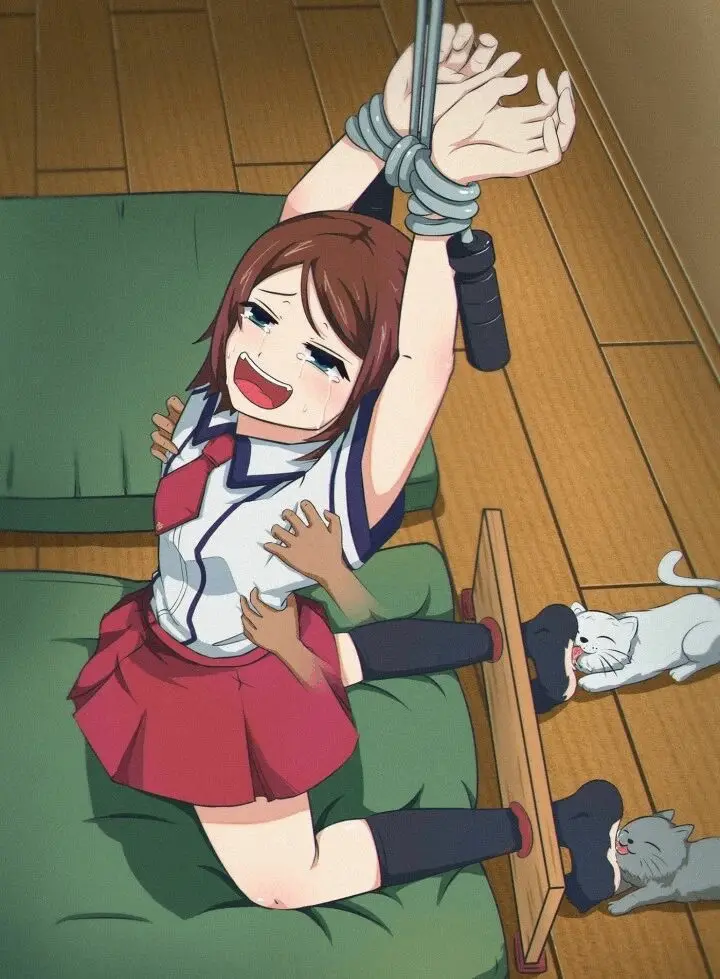 西檬之家s属性是什么?字母圈新人必知的秘密解析 一