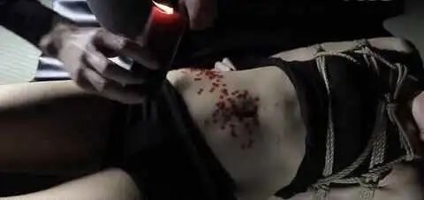 西檬之家恋物癖是什么?揭秘这个字母圈的独特魅力! 一