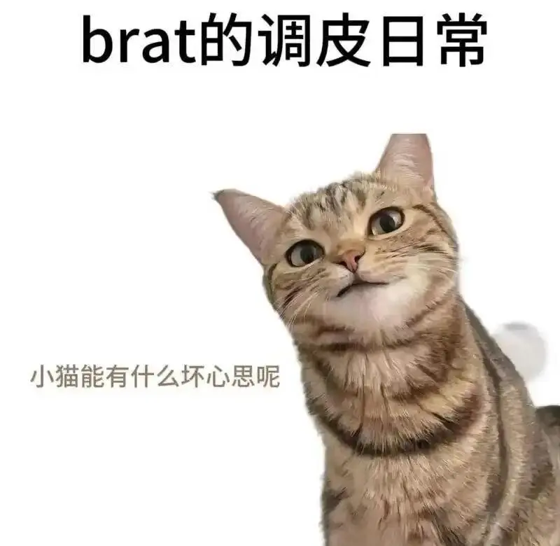 西檬之家字母圈里的FETISH恋物癖是什么? 一