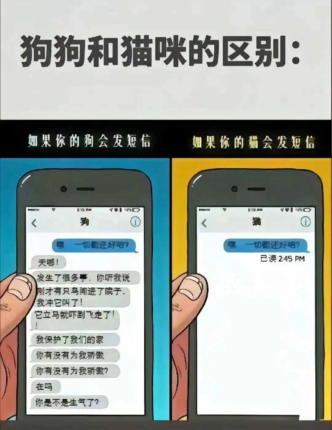 西檬之家s属性是什么意思? 一