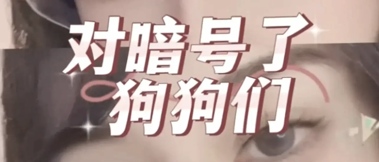 西檬之家ddlg是什么?你的字母圈属性是什么 一