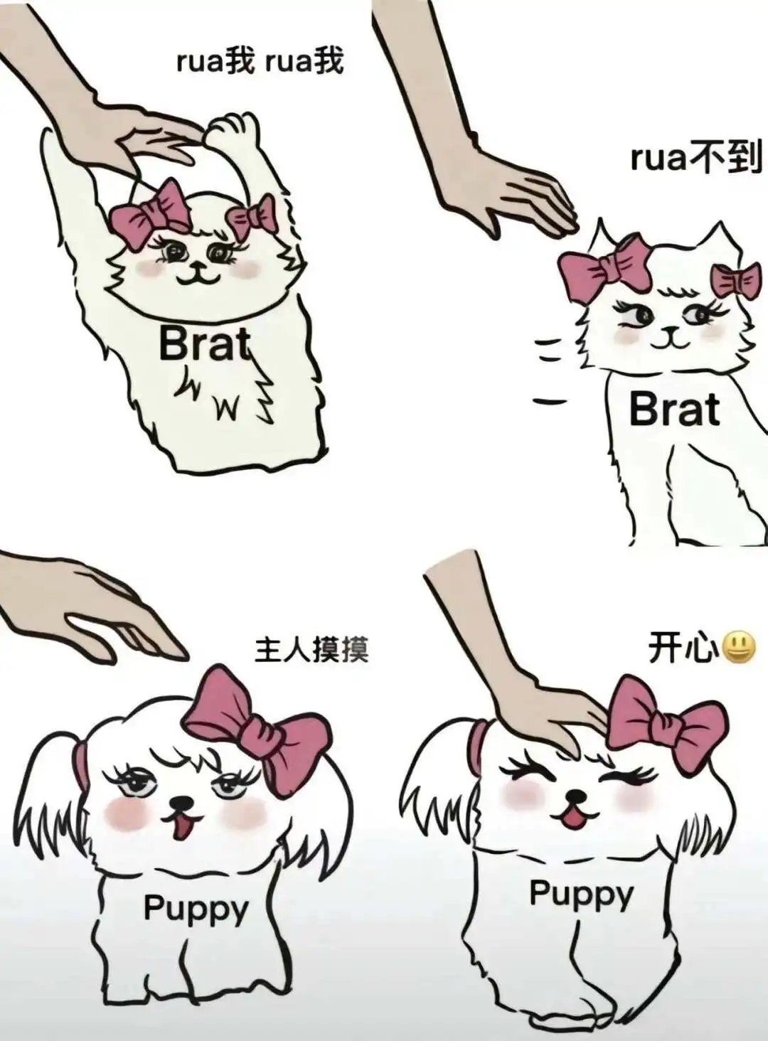 西檬之家SM圈新人入门指南 一