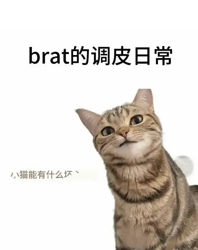 西檬之家恋足癖是什么?你的字母圈属性在哪? 一