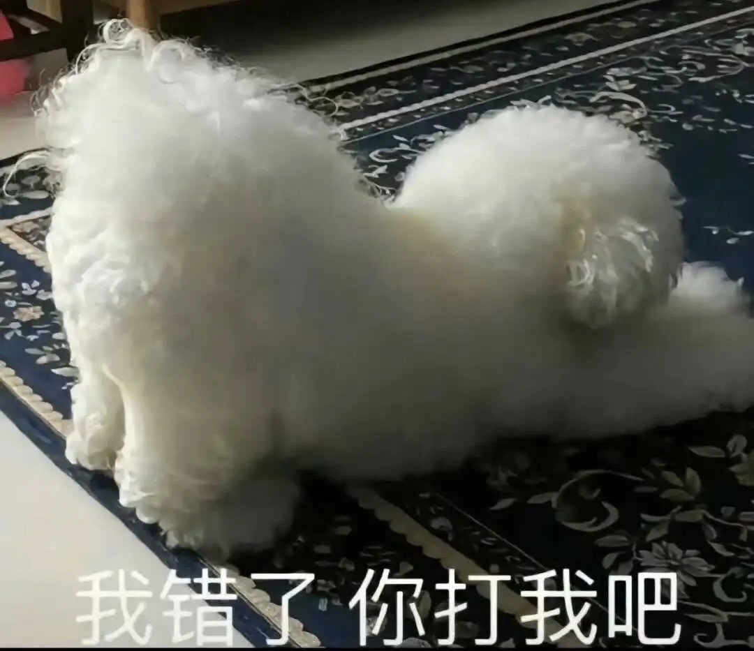 西檬之家M倾向是什么?如何判断自己是否适合进入字母圈? 一